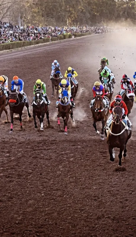 Una nueva cita turfística en el Hipódromo provincial