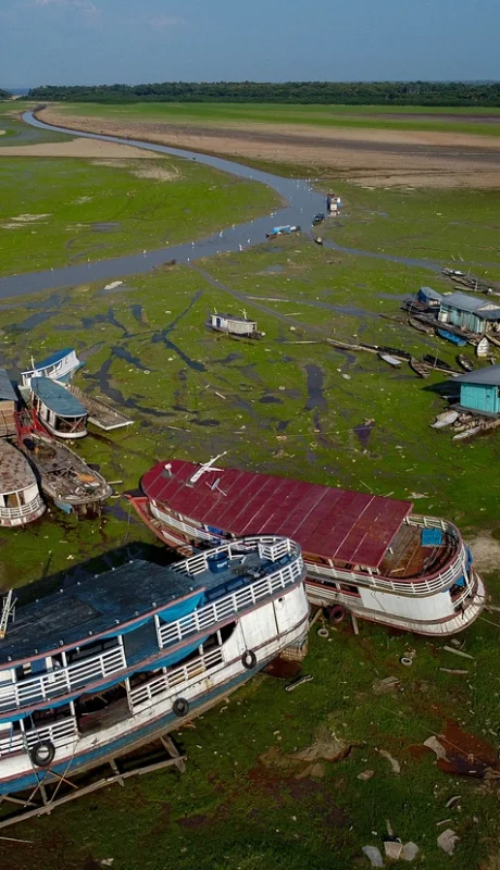 La cuenca del Amazonas sufre la peor sequía de su historia