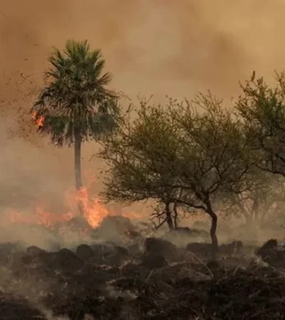 Los incendios golpean a Corrientes