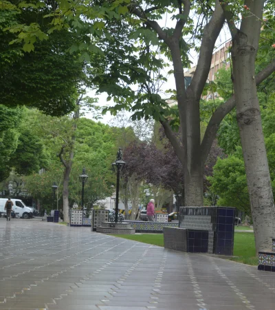 Arboledas en las plazas de Mendoza