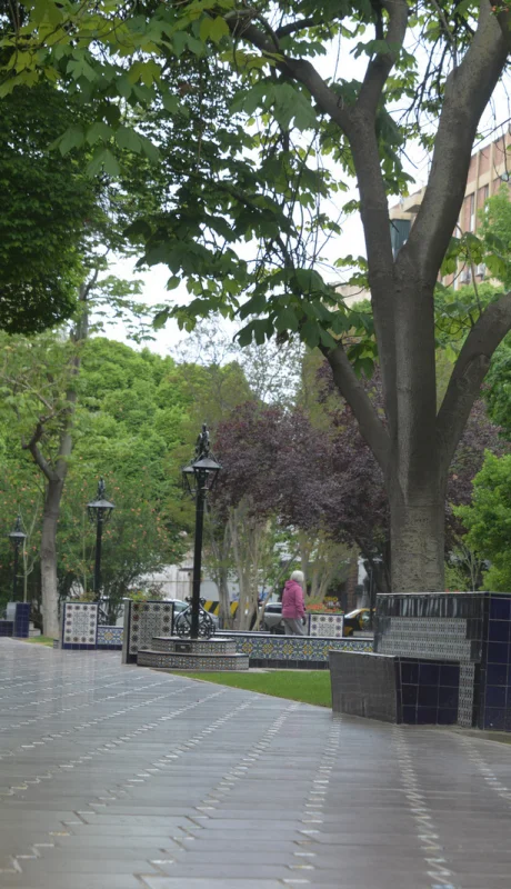 Arboledas en las plazas de Mendoza