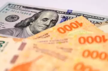 Plazo fijo online: los 5 bancos que ofrecen las mejores tasas en junio 2025