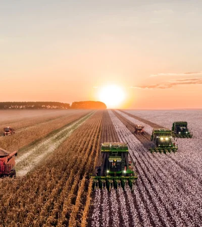 En mayo las actividades que más crecieron fueron la Pesca, la Agricultura, ganadería, caza y silvicultura y Hoteles y restaurantes.