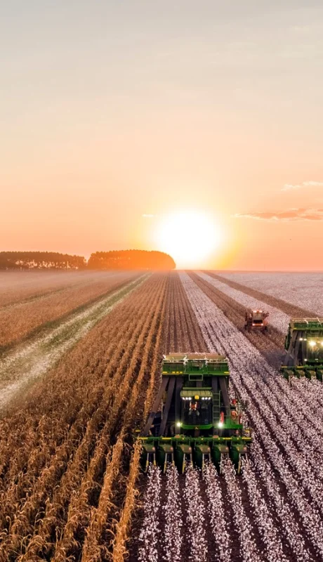 En mayo las actividades que más crecieron fueron la Pesca, la Agricultura, ganadería, caza y silvicultura y Hoteles y restaurantes.