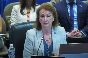 Mondino en la OEA: "Son conscientes de lo que ocurre... De lo que puede ocurrir"