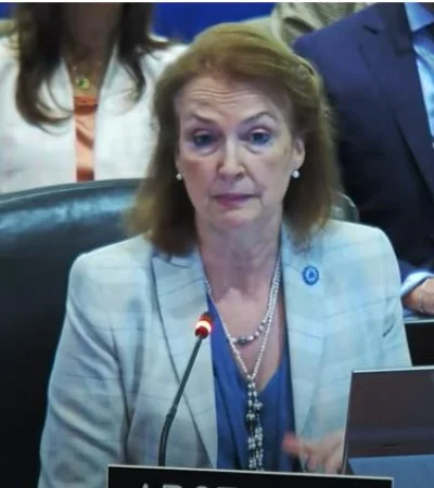 Mondino no se guardó nada en la sesión extraordinaria sobre Venezuela