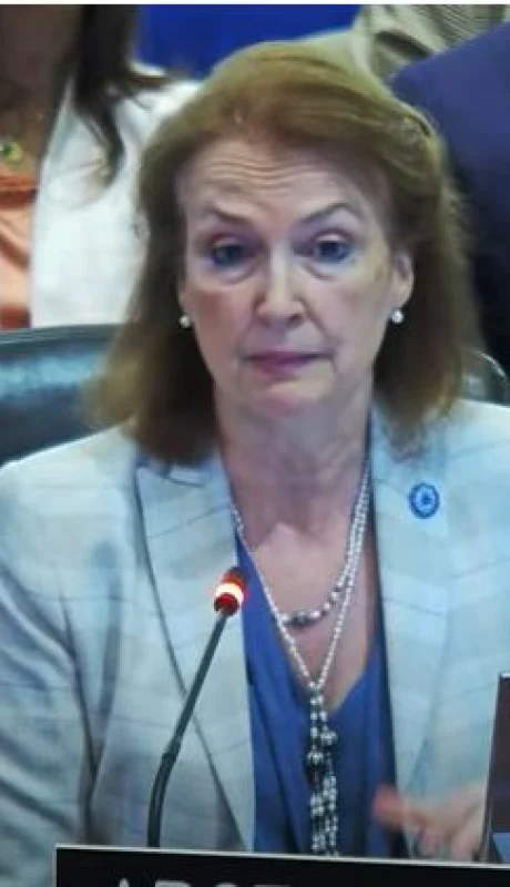 Mondino no se guardó nada en la sesión extraordinaria sobre Venezuela