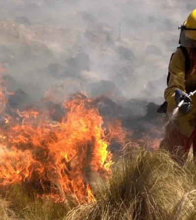 Sigue activo el foco de la Quebrada de la Mermela. Más de 150 bomberos voluntarios trabajaron toda la noche en la zona.