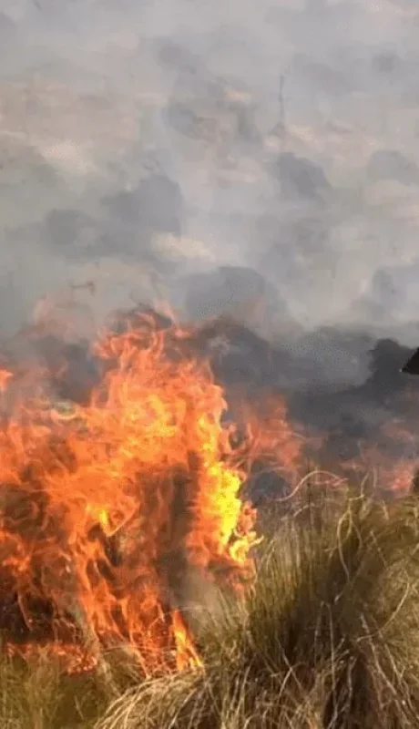 Sigue activo el foco de la Quebrada de la Mermela. Más de 150 bomberos voluntarios trabajaron toda la noche en la zona.