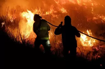 Incendios devastan el Norte argentino: Salta en alerta máxima