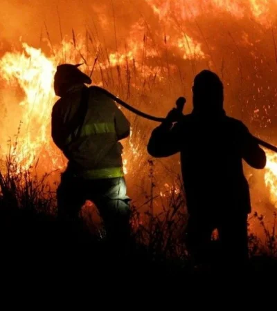 Incendios devastan el Norte argentino: Salta en alerta máxima