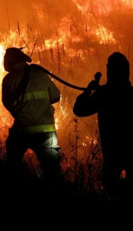 Incendios devastan el Norte argentino: Salta en alerta máxima