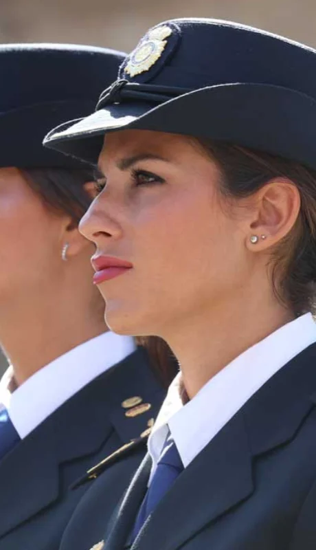 La Policía Nacional es un instituto armado de naturaleza civil, con estructura jerarquizada, que busca proteger el libre ejercicio de los derechos.