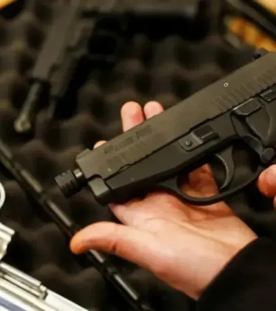 Las armas en manos civiles/