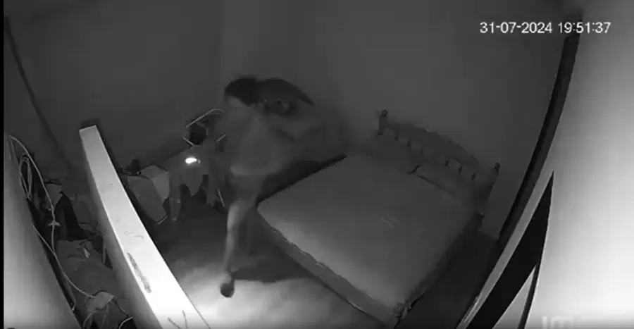 El dueño de casa tiene 80 años y radicó la denuncia