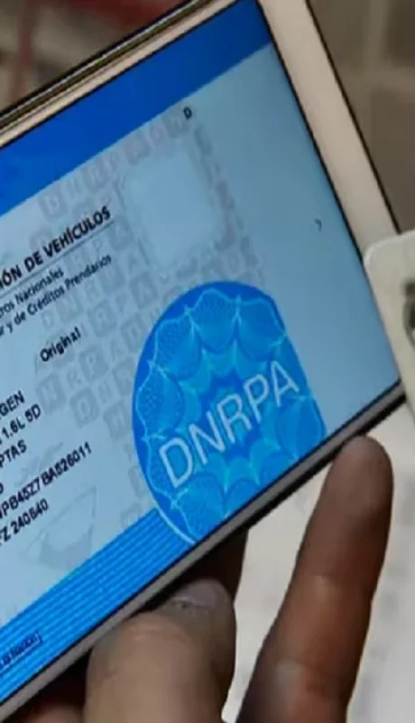 La eliminación de la cédula azul genera polémica y alerta sobre caos administrativo