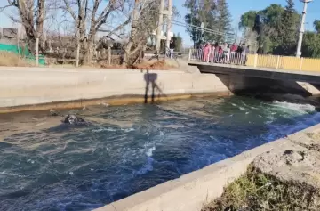Un auto se precipitó a un canal y se llevó la vida de una mujer en San Rafael