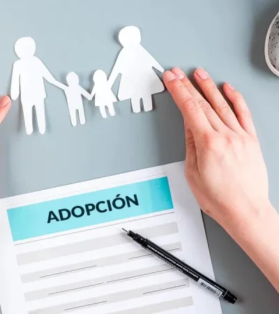 "Agilizar los trámites para que los niños encuentren un hogar"