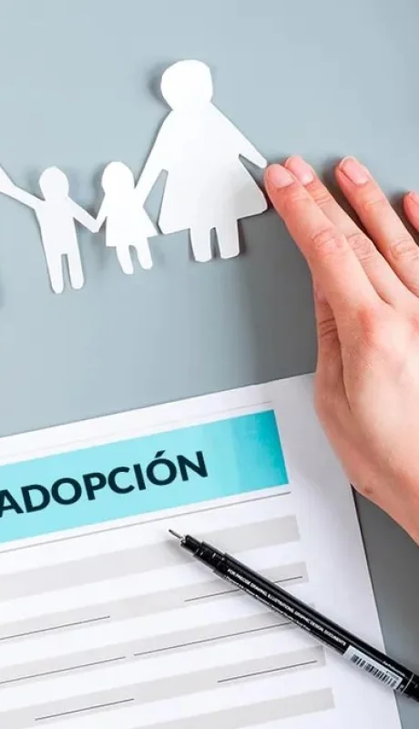 "Agilizar los trámites para que los niños encuentren un hogar"