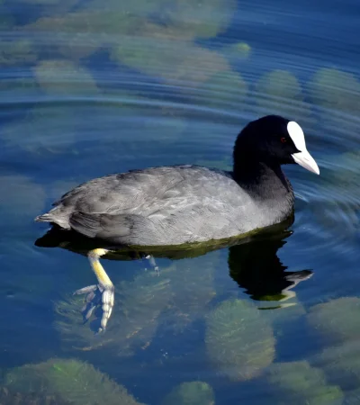 La percepción distorsionada del esfuerzo en alcanzar metas puede resultar en un ciclo de expectativas desajustadas.