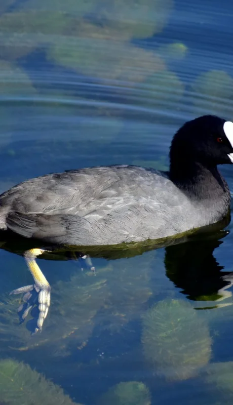 La percepción distorsionada del esfuerzo en alcanzar metas puede resultar en un ciclo de expectativas desajustadas.