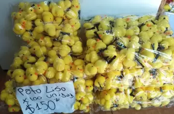 Patitos amarillos: el fenómeno viral que cayó en desgracia