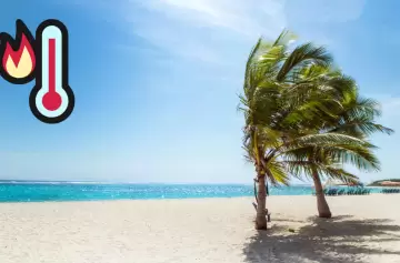 Calentamiento global: se registró el mes de julio más caliente de la historia