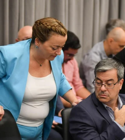 Los diputados UxP, Germán Martínez y Cecilia Moreau.