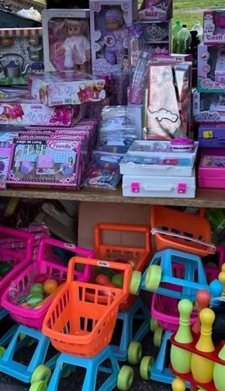 Variedad de juguetes y precios por el Día de las Infancias.