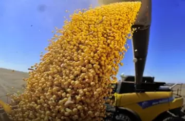 "El desplome del precio de la soja era un anuncio a gritos: esto no es bueno para nadie"
