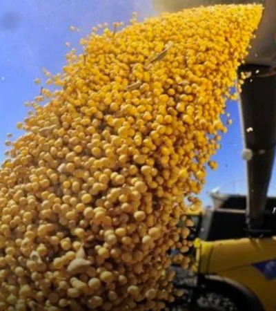 La cotización de la soja se ubicó en el precio más bajo en casi 20 años.