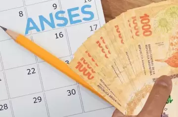 Este será el aumento de ANSES para septiembre 2024