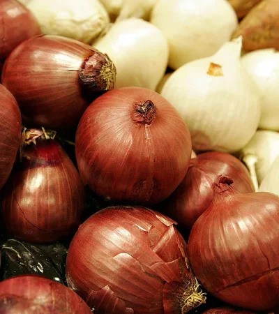 Un producto de gran consumo popular