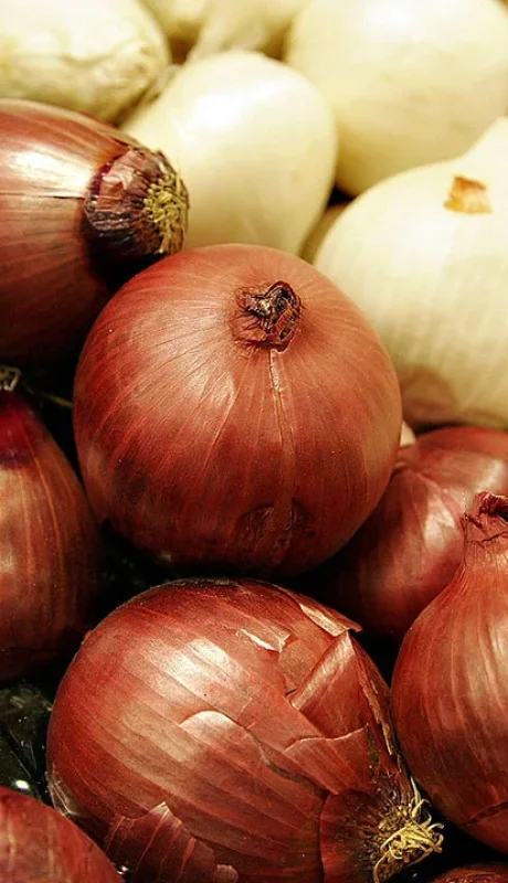 Un producto de gran consumo popular