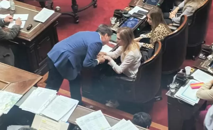 El drama de Lilia Lemoine, en medio del tratamiento de la Ley de Registro Genético