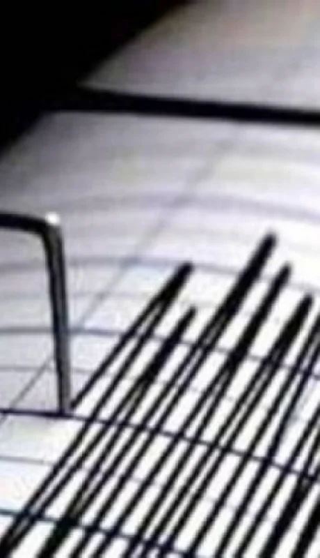 El temblor marcó 4.4 grados en su intensidad