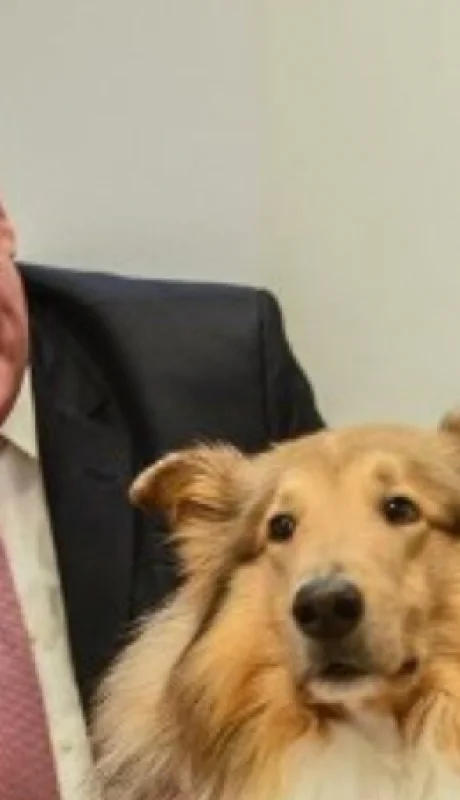 ¿Será en serio? Javier Milei busca quedarse con el perro de Alberto Fernández