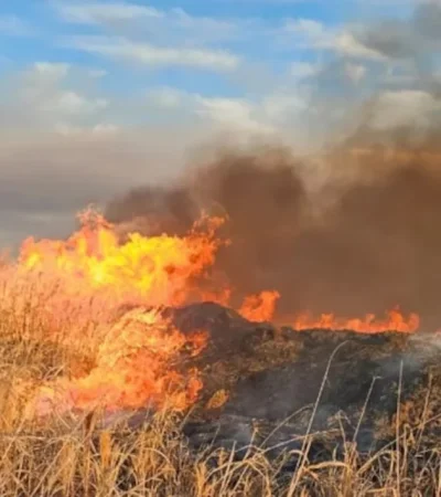 Los incendios se hacen presentes en Córdoba.