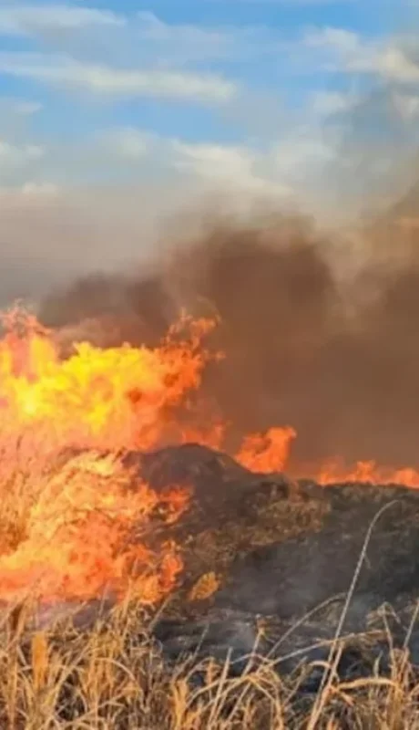 Los incendios se hacen presentes en Córdoba.