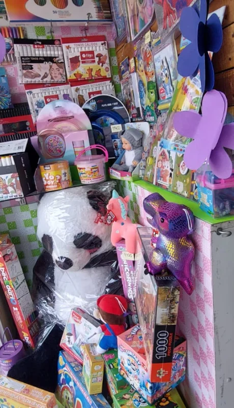 La gente buscó los juguetes más baratos para el día del niño.