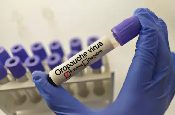 El virus que acecha a América Latina y enciende las alarmas en la Argentina