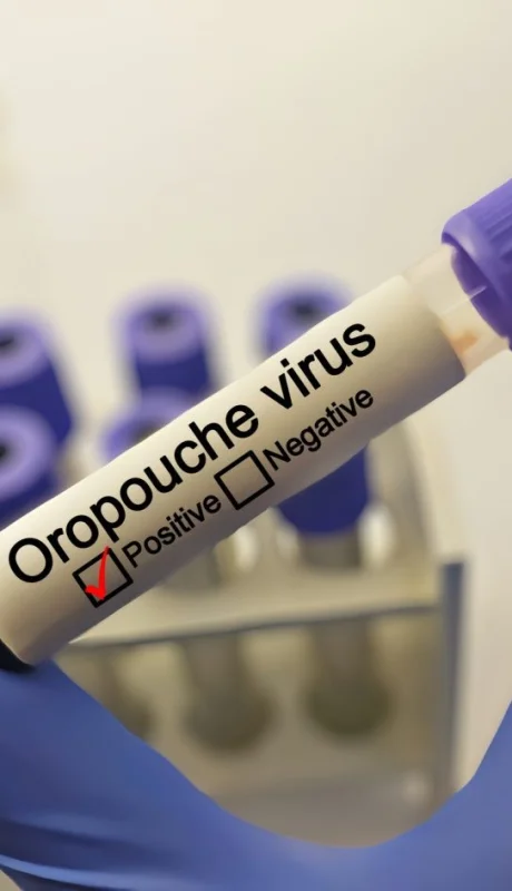 El virus que acecha a América Latina y enciende las alarmas en la Argentina