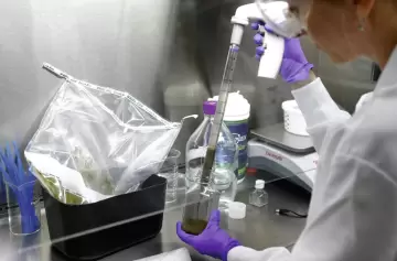 Cómo un trasplante de heces puede ayudar a tratar una rara enfermedad crónica