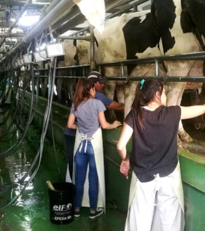 El Gobierno lanzó una línea de créditos para el sector de agro a través del BICE.