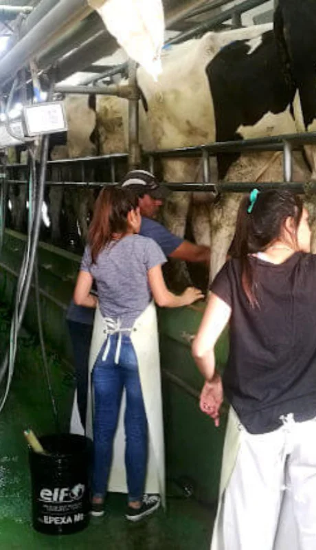 El Gobierno lanzó una línea de créditos para el sector de agro a través del BICE.