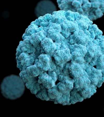 El nonovirus se hizo presente en Bariloche