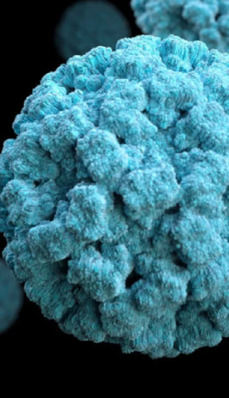 El nonovirus se hizo presente en Bariloche