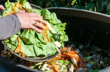 ¿Se pueden fabricar nuevos productos con residuos alimentarios?