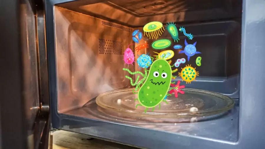 El microondas es el lugar indicado para que los gérmenes vivan a su gusto. (Foto: web)