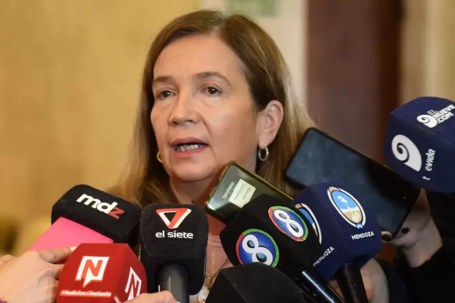 Andrea Falaschi, directora de Epidemiología